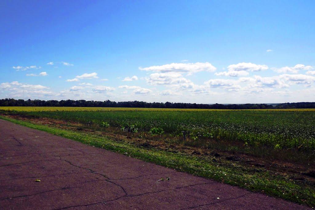 Новомиргород з panoramio.com - Новомиргород