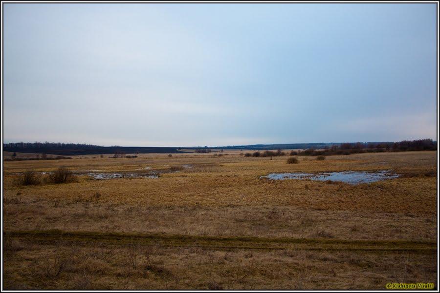 Василівка з panoramio.com - Василівка