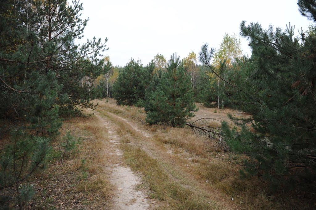 Заріччя з panoramio.com - Заріччя