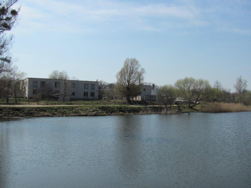 Березівка з panoramio.com - Березівка