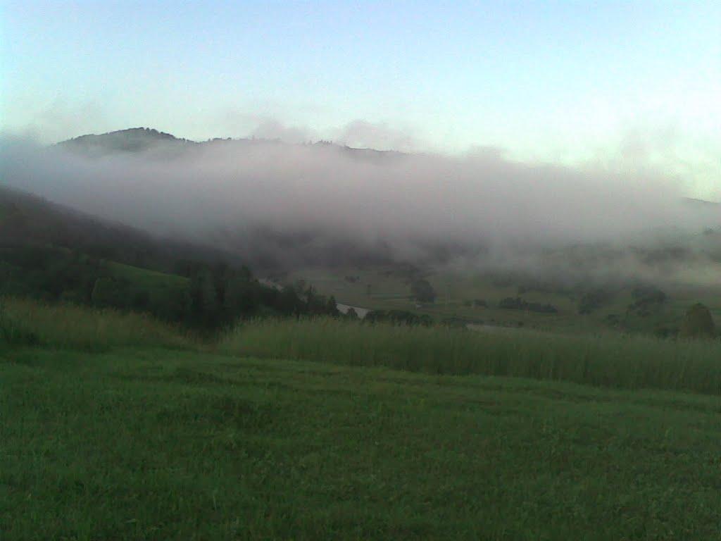 Ластівка з panoramio.com - Ластівка