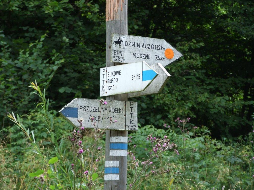Боберка з panoramio.com - Боберка