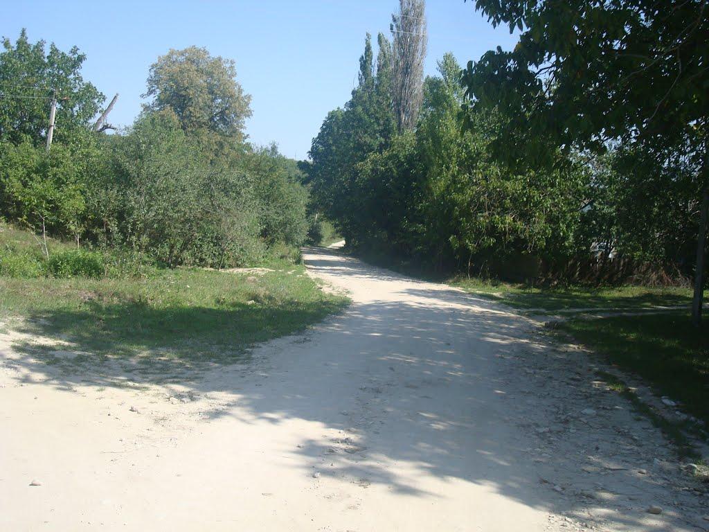 Ставчани з panoramio.com - Ставчаны