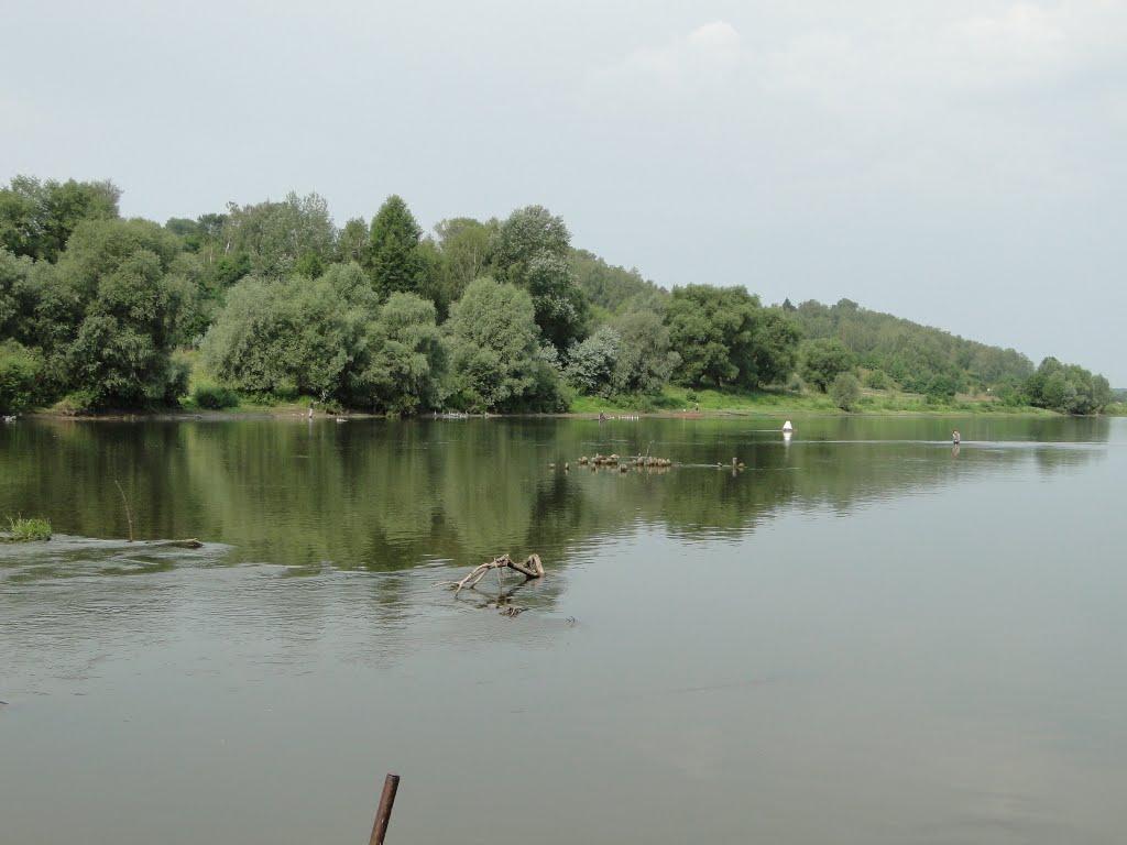 Чернацьке з panoramio.com - Чернацьке