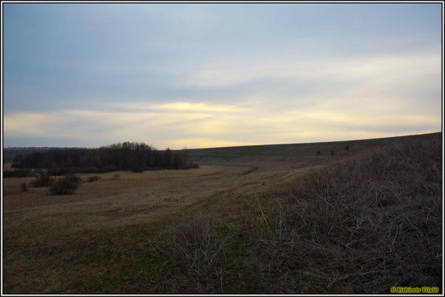 Василівка з panoramio.com - Василівка