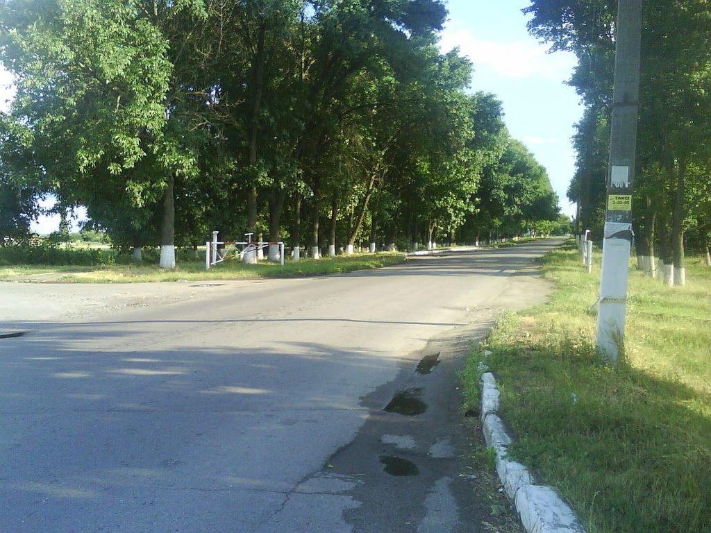 Решетилівка з panoramio.com - Reshetilivka
