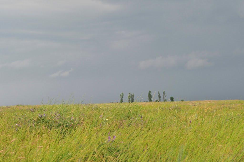 Хорли з panoramio.com - Хорли