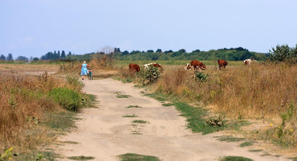 Лазурне з panoramio.com - Лазурное
