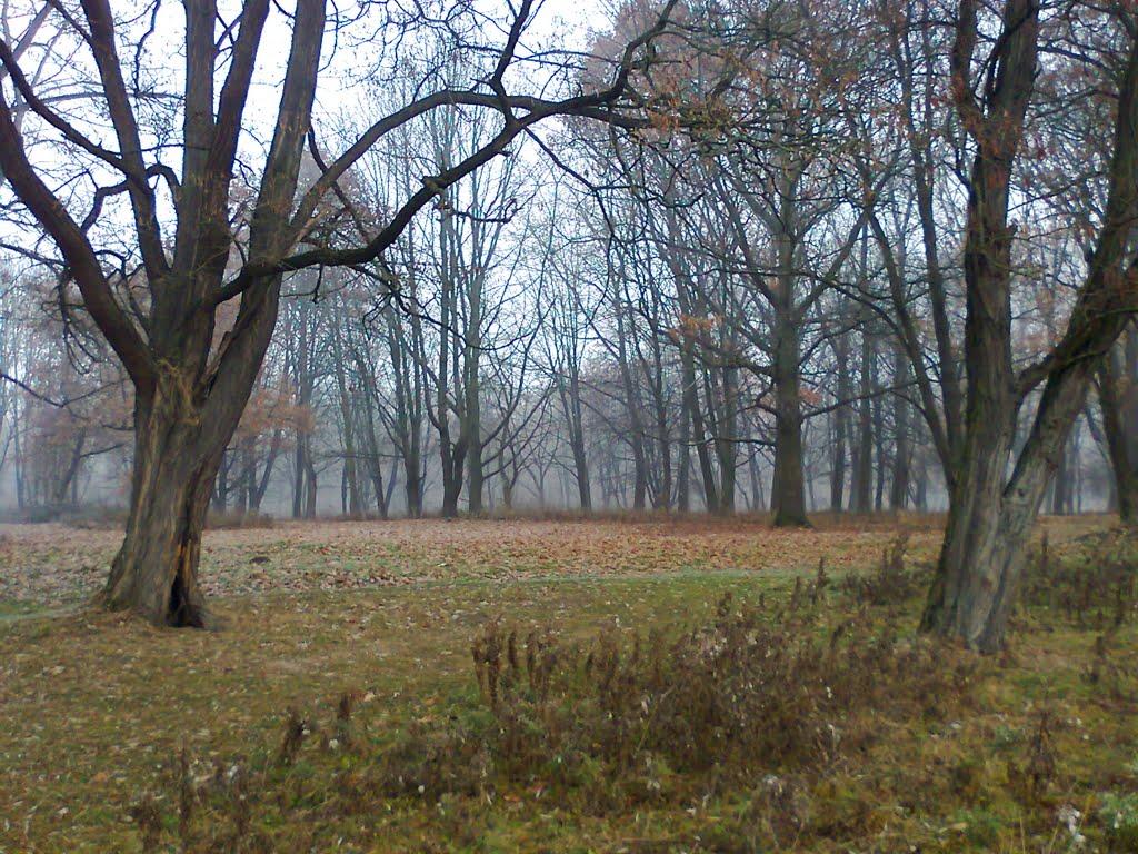Новий Розділ з panoramio.com - Новый Роздол