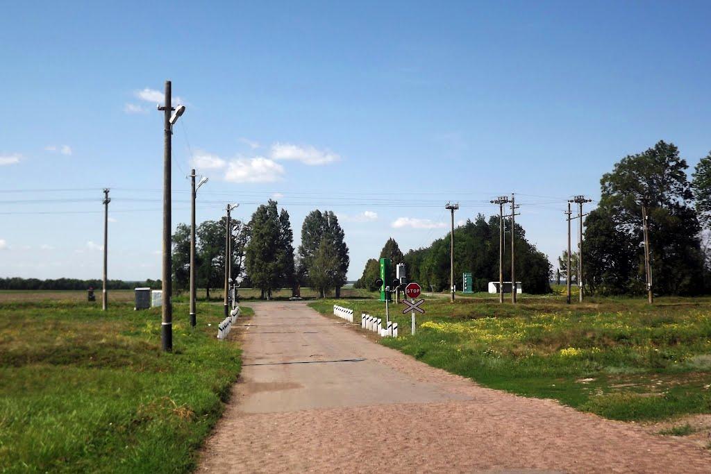 Новомиргород з panoramio.com - Новомиргород