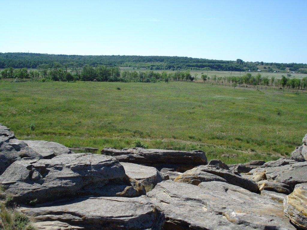 Новопилипівка з panoramio.com - Новопилипівка