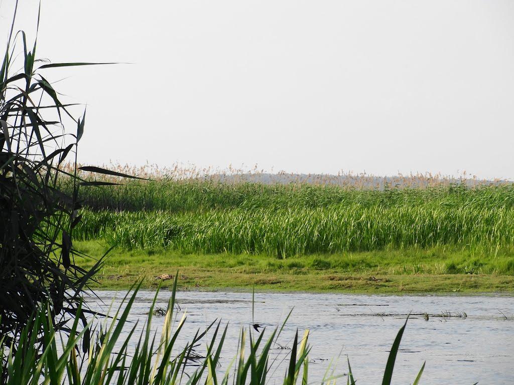 Кириківка з panoramio.com - Кириківка