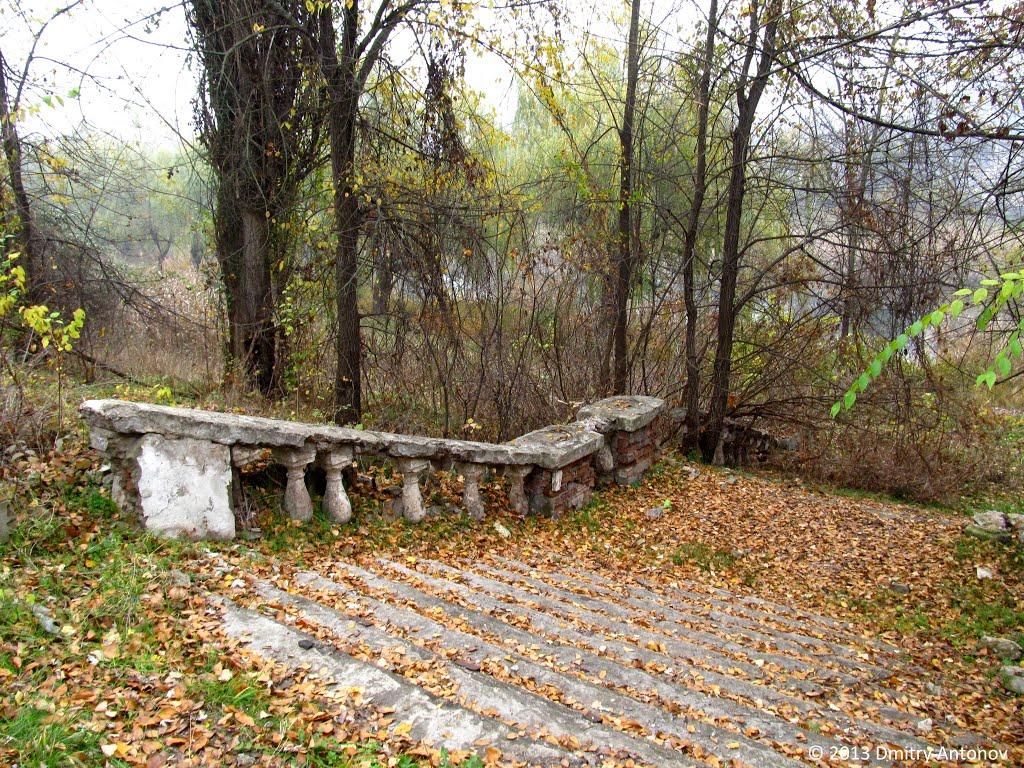 Вільне з panoramio.com - Вольное