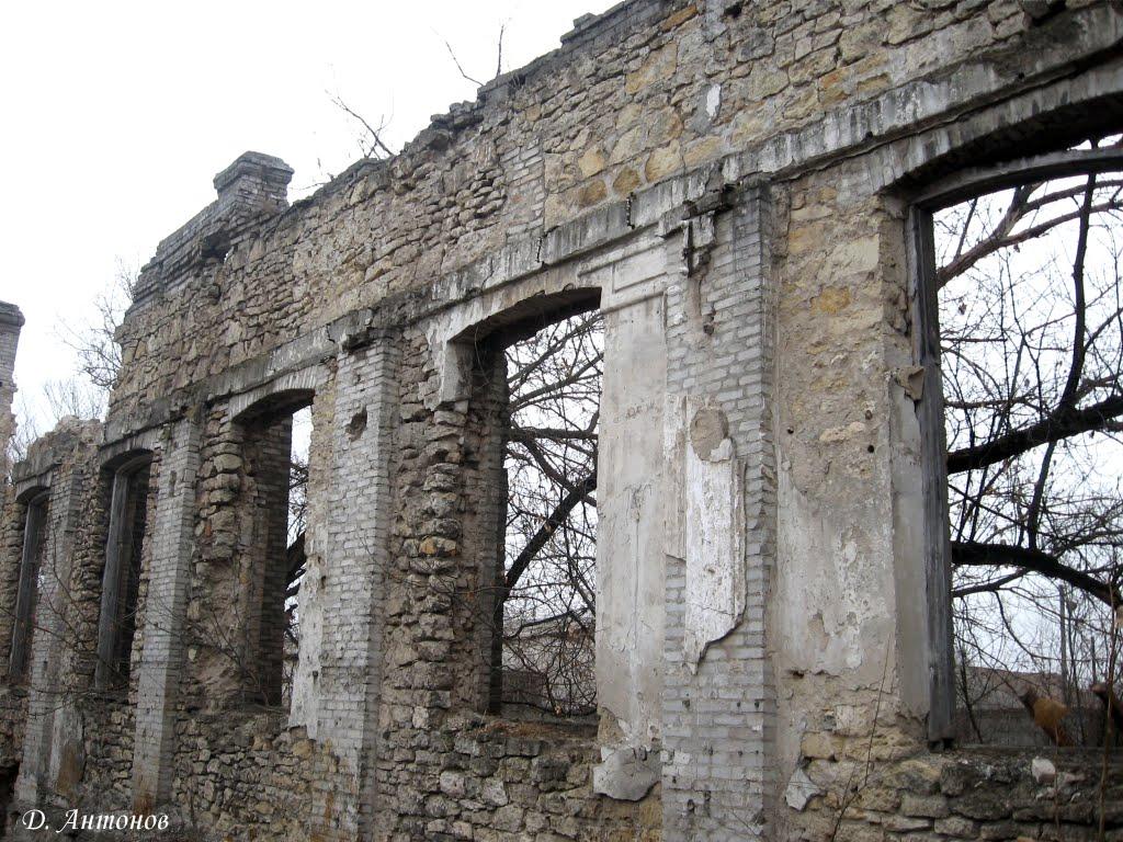 Широка Дача з panoramio.com - Широкая Дача