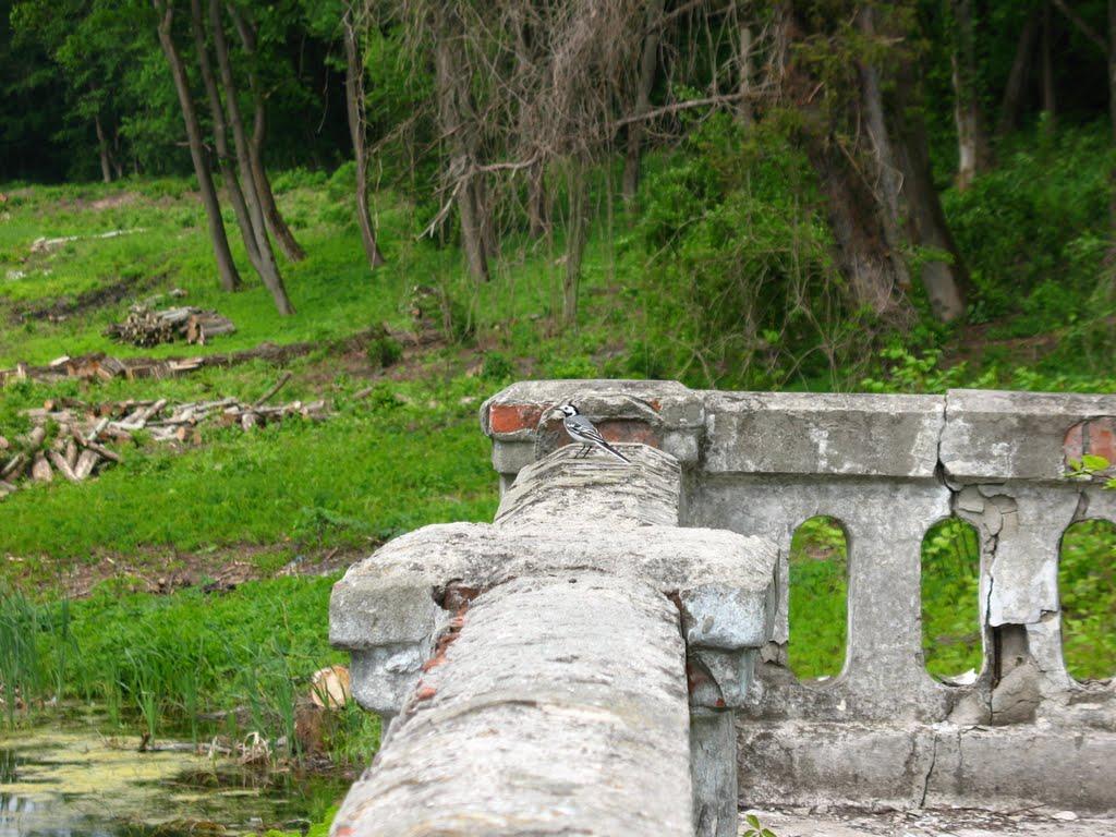Шарівка з panoramio.com - Шарівка