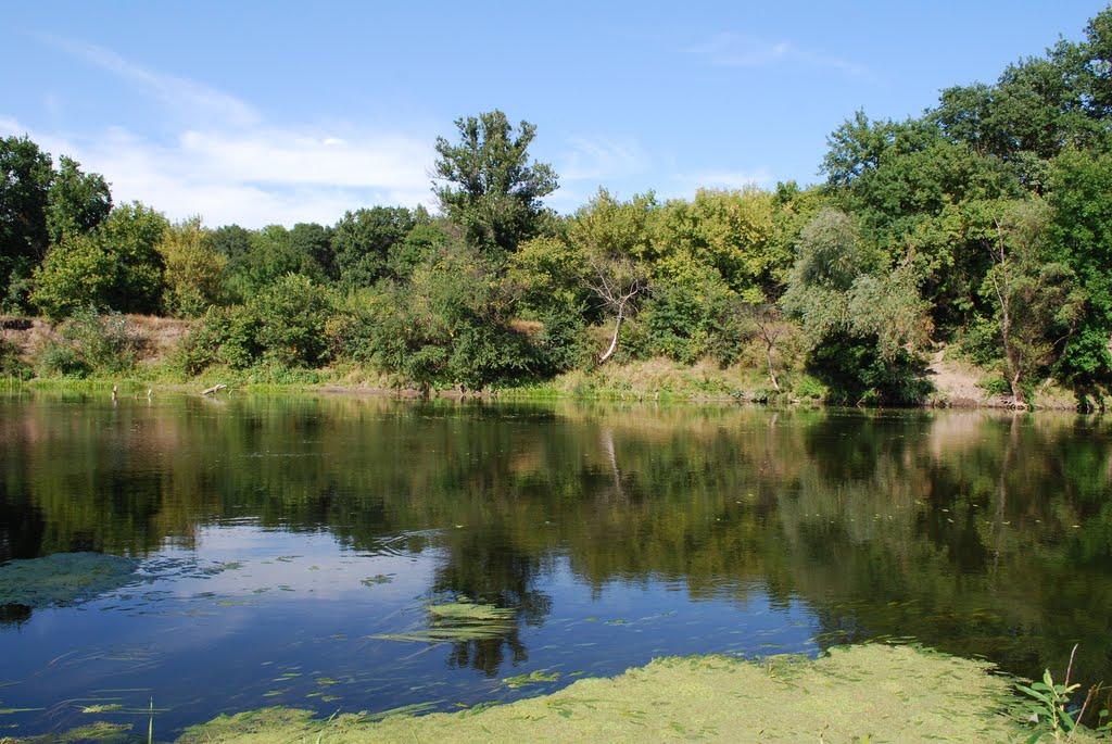 Нижнє з panoramio.com - Нижнє