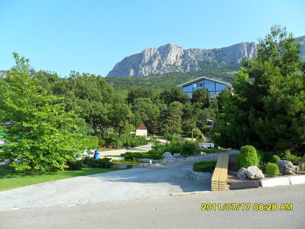 Олива з panoramio.com - Олива