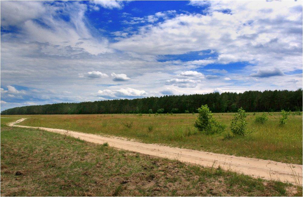 Кам'янка з panoramio.com - Kamyanka