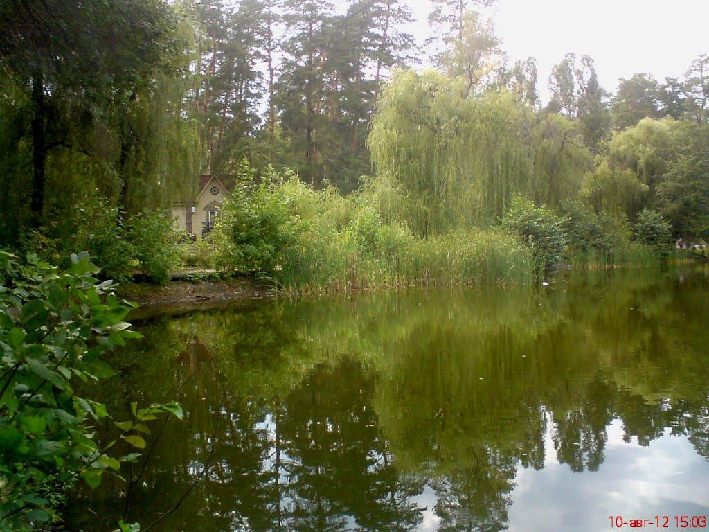 Святогірськ з panoramio.com - Святогорск