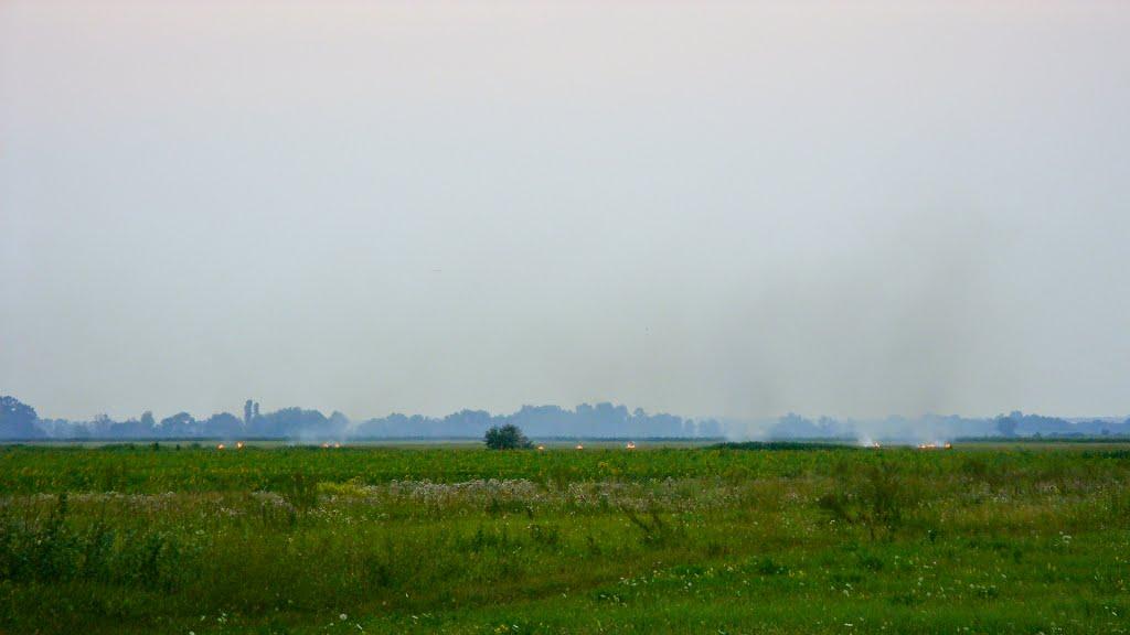 В'язівка з panoramio.com - В'язівка