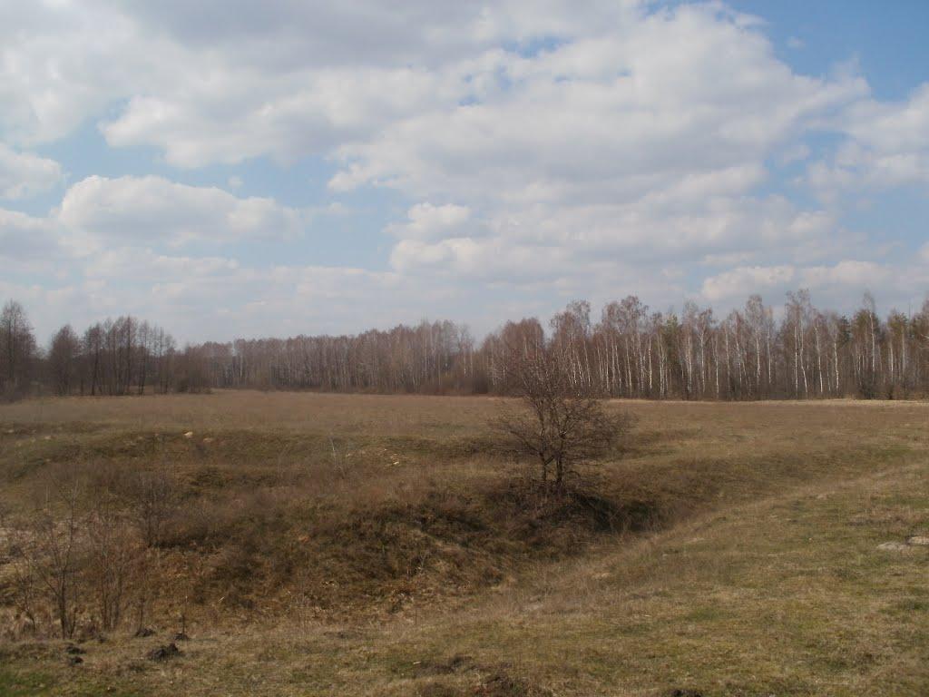 Дачне з panoramio.com - Дачне