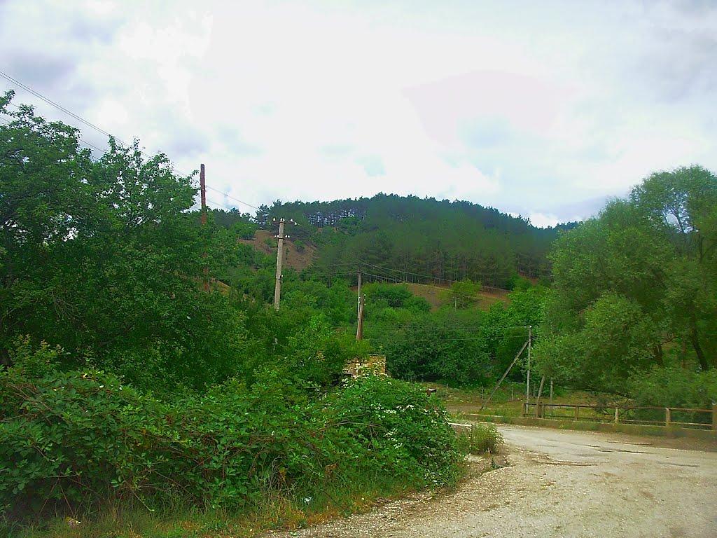 Богатир з panoramio.com - Богатир