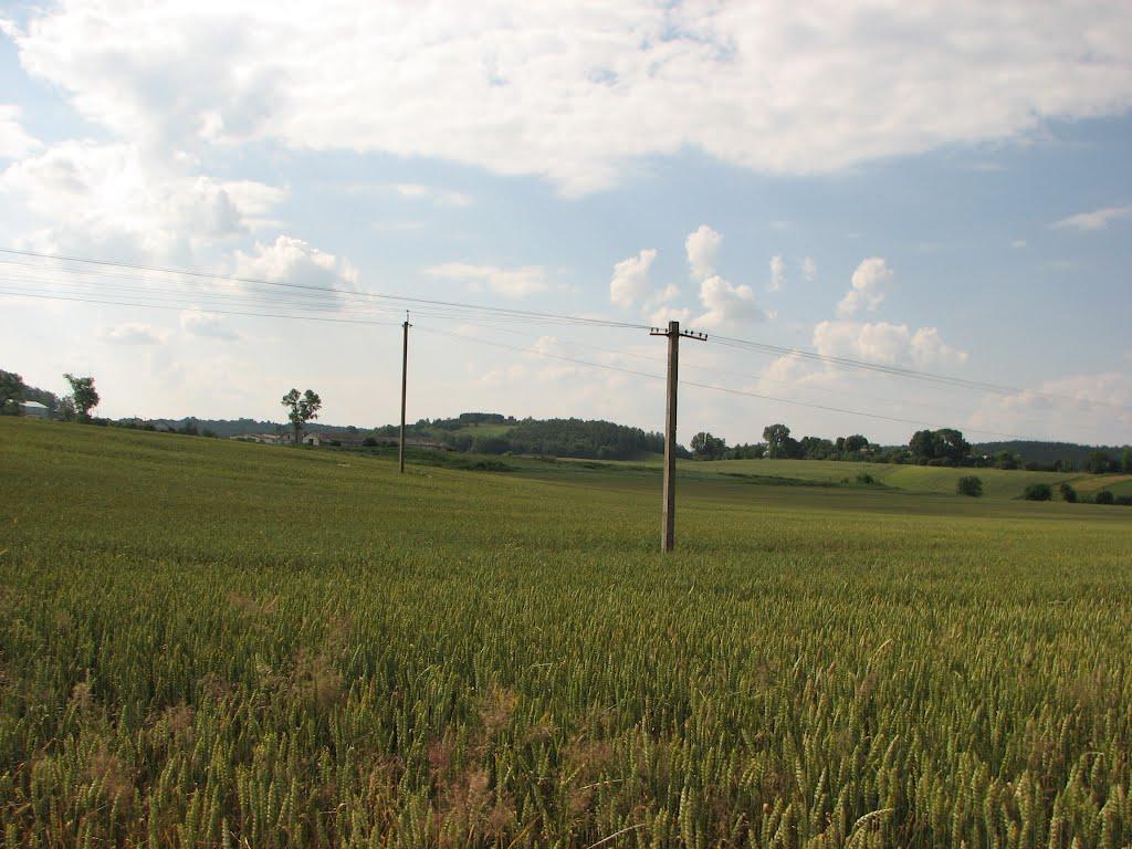 Ступно з panoramio.com - Ступно