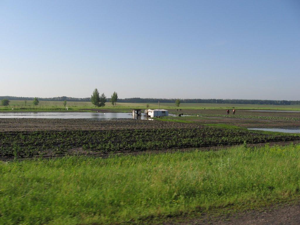 Таганка з panoramio.com - Таганка