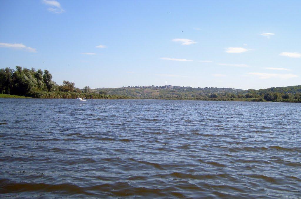 Гвоздавка Друга з panoramio.com - Гвоздавка Вторая