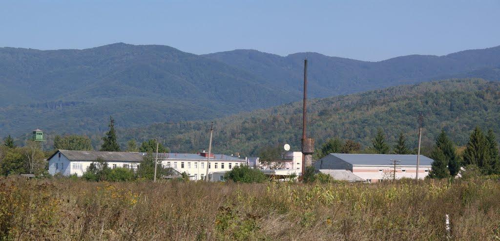Великий Березний з panoramio.com - Великий Березний