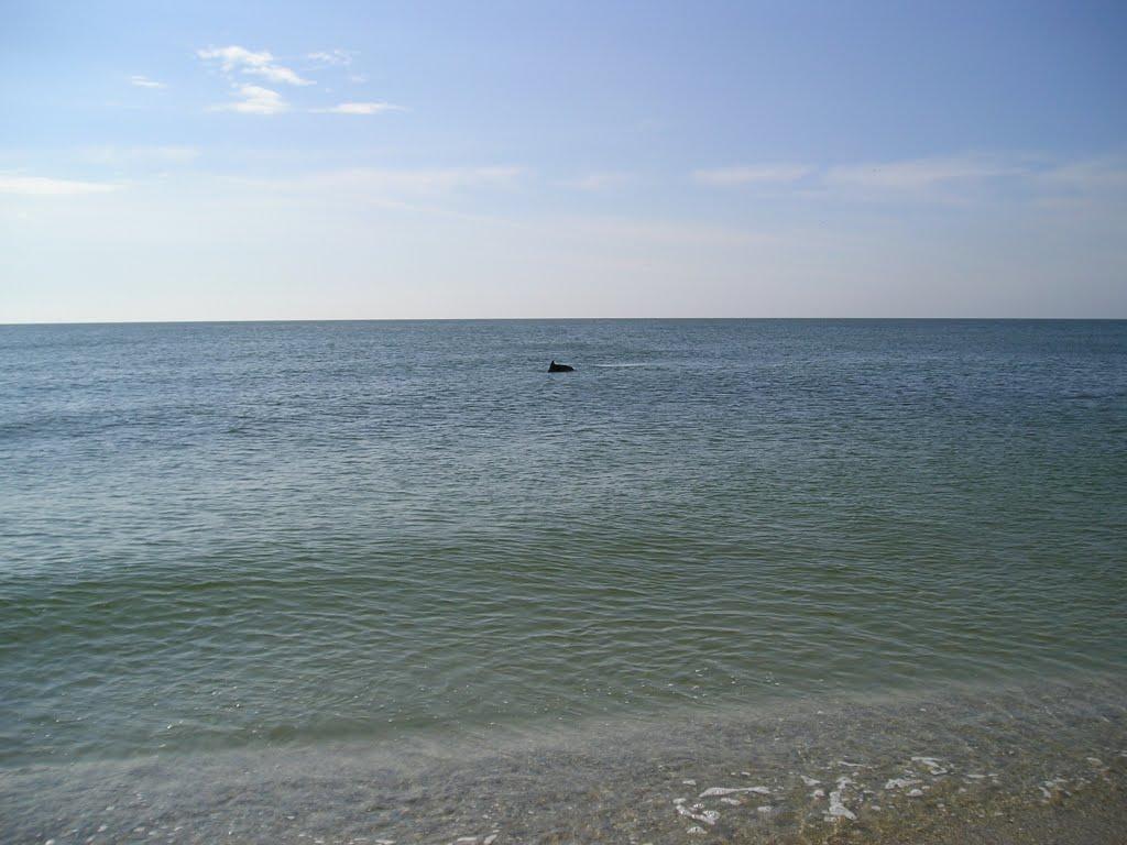 Біленьке з panoramio.com - Біленьке