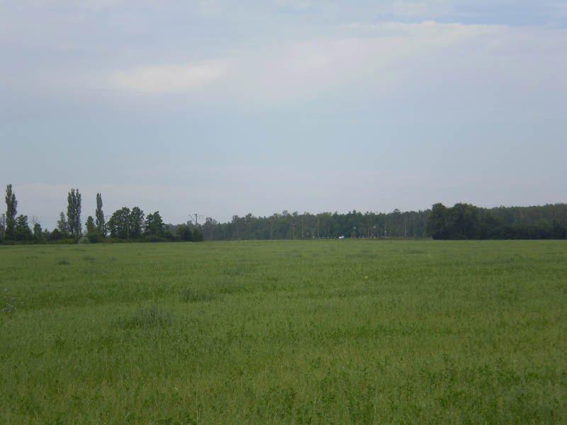 Гірманка з panoramio.com - Гірманка