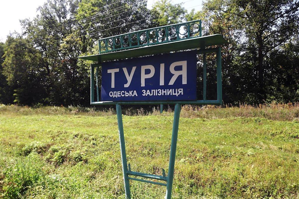 Новомиргород з panoramio.com - Novomyrhorod