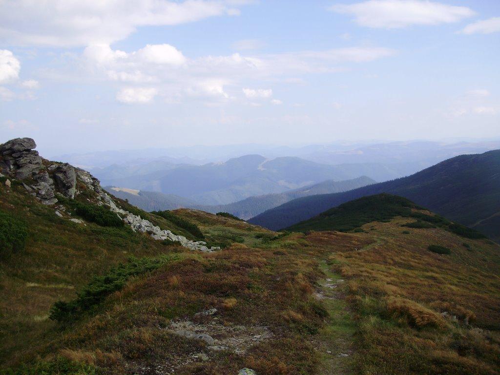 Берестечко з panoramio.com (ч.2) - Берестечко