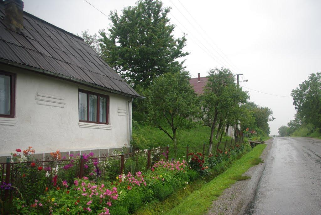 Тячів з panoramio.com - Тячев