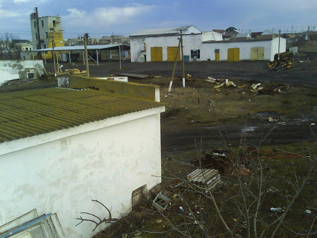 Комінтернівське з panoramio.com - Комінтернівське