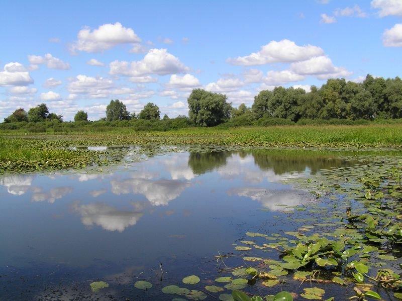 Надинівка з panoramio.com - Надинівка