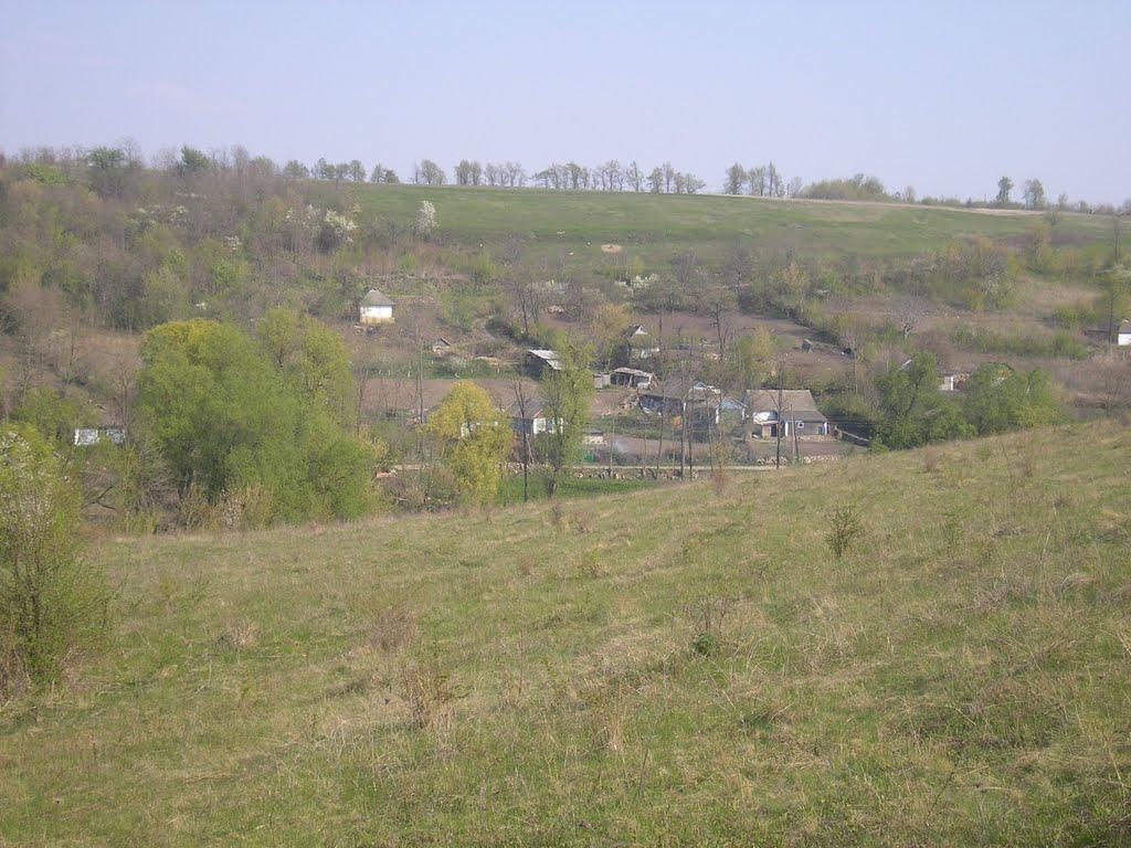 Воєводчинці з panoramio.com - Воєводчинці