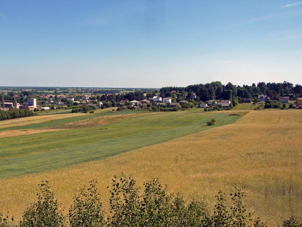 Новоугрузьке з panoramio.com - Новоугрузское