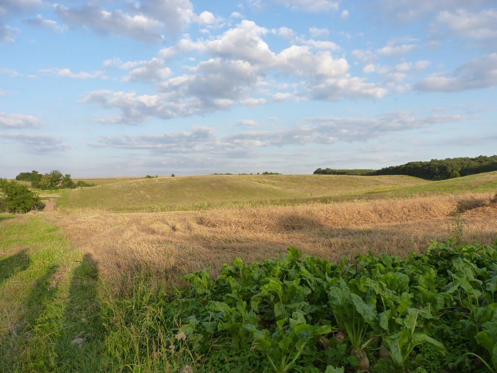 Острів з panoramio.com - Острів