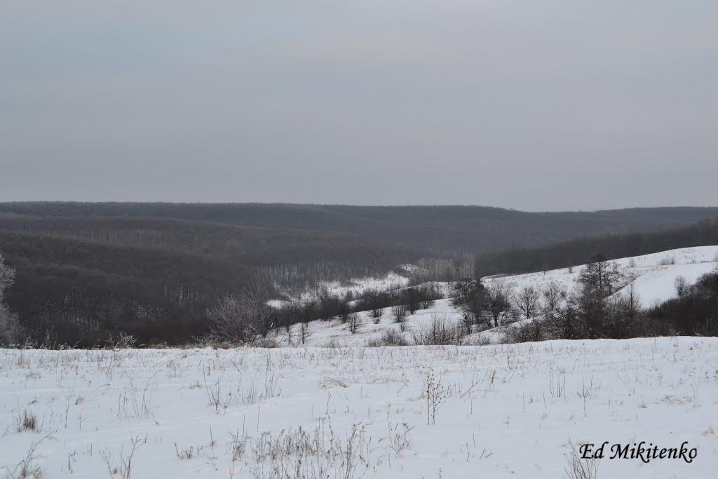 Великі Будища з panoramio.com - Velyki Budyscha