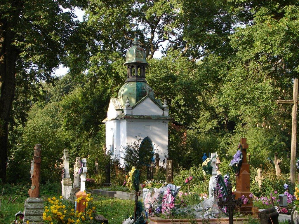 Білобожниця з panoramio.com - Bilobozhnytsya