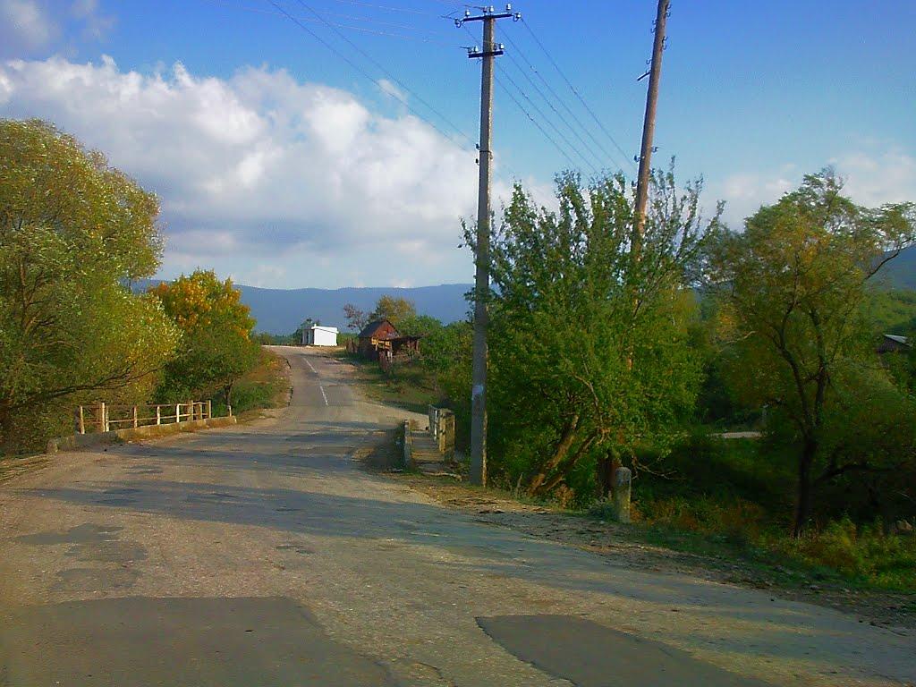 Богатир з panoramio.com - Богатир
