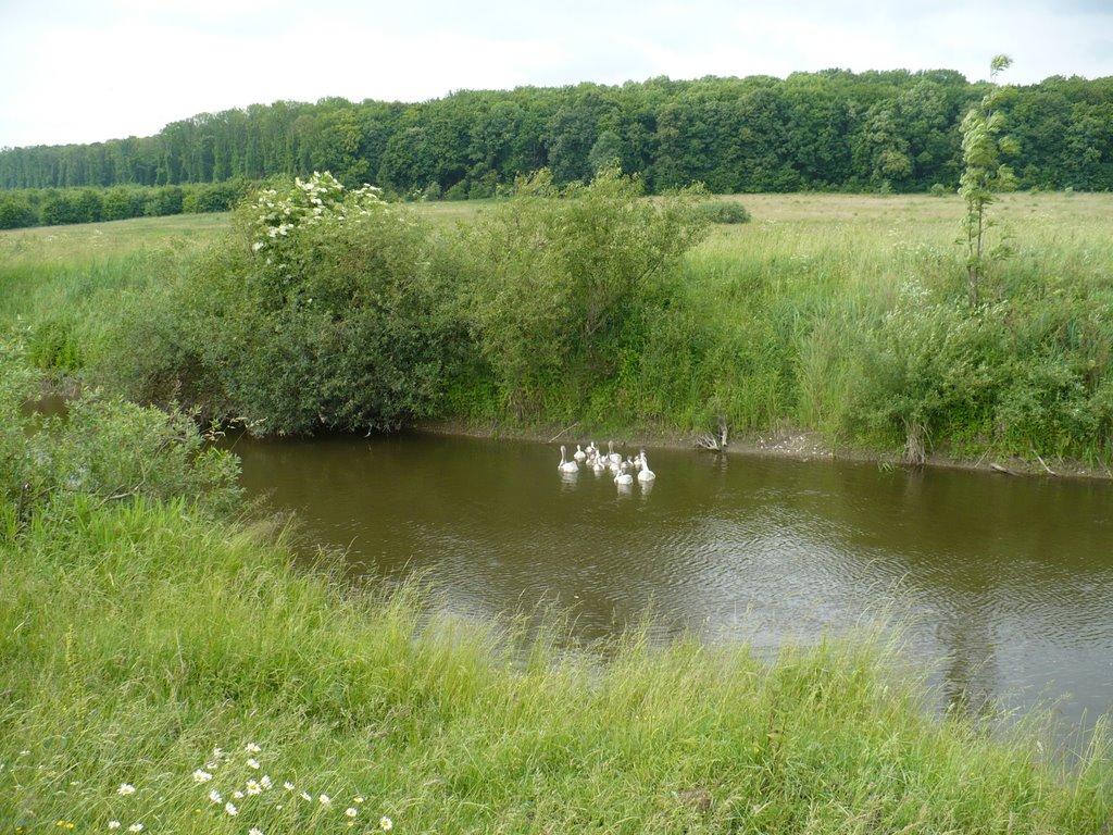 Бруслинів з panoramio.com - Бруслинів