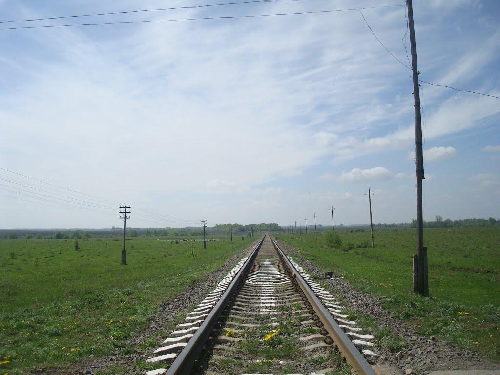 Старі Бейзими з panoramio.com - Старі Бейзими