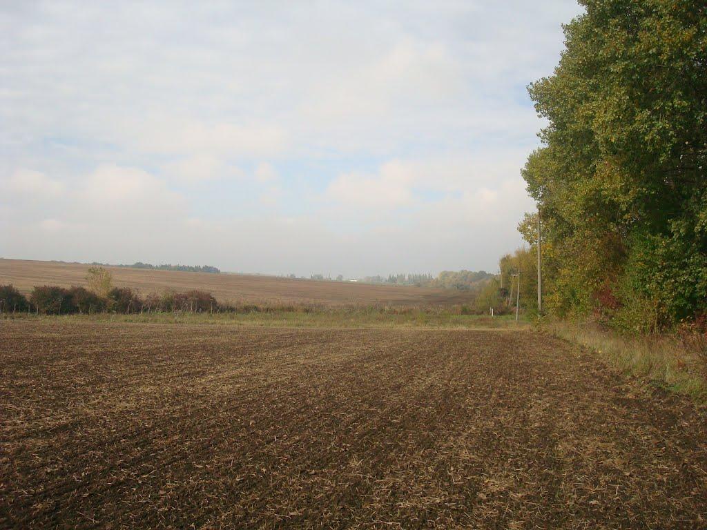 Олешин з panoramio.com - Олешин