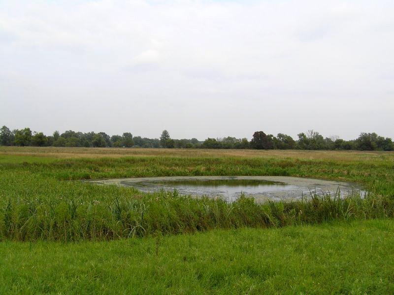 Смолин з panoramio.com - Смолин