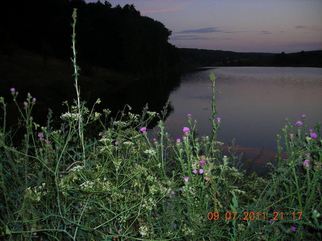 Люботин з panoramio.com (ч.2) - Lyubotyn