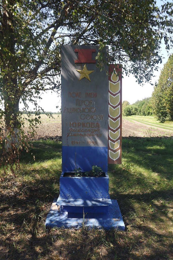Новомиргород з panoramio.com - Новомиргород