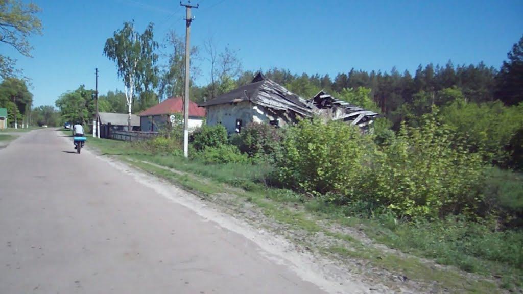 Матіївка з panoramio.com - Матіївка